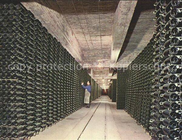 Wein Cavas Codorniu Botellas envejeciendo
