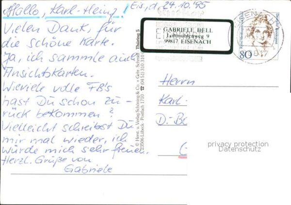 Schmetterlinge Apollo Schwalbenschwanz Uhu Iltis Feldh – Bild 2