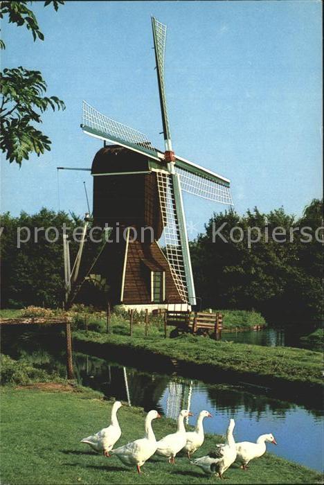 Windmuehle Wip-watermolen Haarlem Gänse