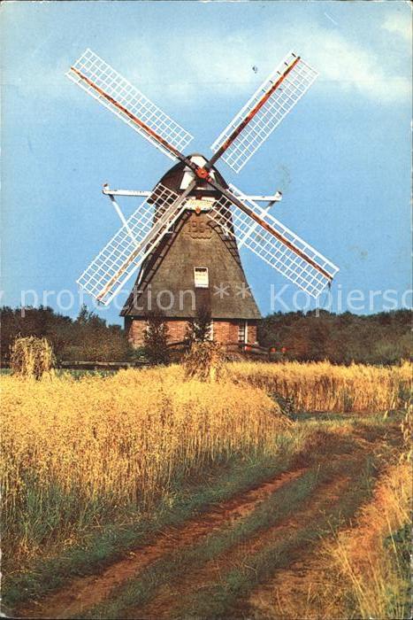 Windmuehle Windkorenmolen De Zaandplatte Ruinen Dr