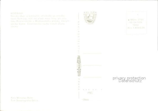 Modrava Kühe und Bach – Bild 2