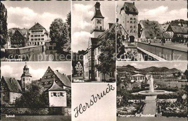 Hersbruck Wassertor Pegnitzpartie Schloß Rosengar