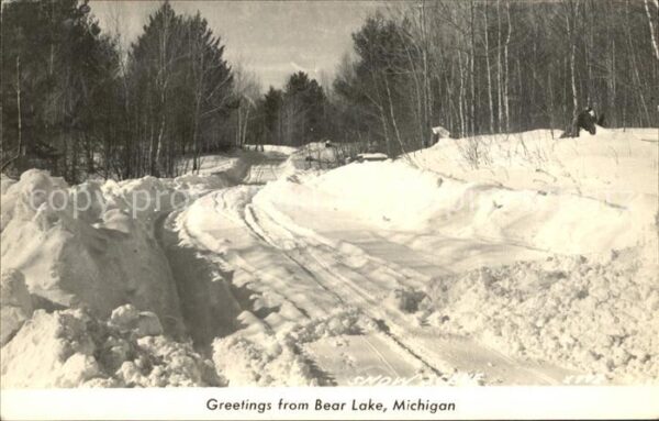 Bear Lake Michigan Verschneiter Wald