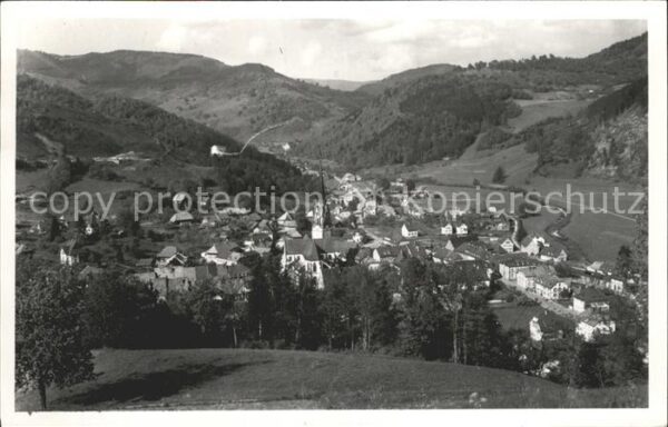 Schoenau Schwarzwald