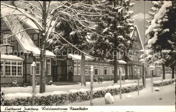 Jesteburg Waldsanatorium Rüsselkäfer