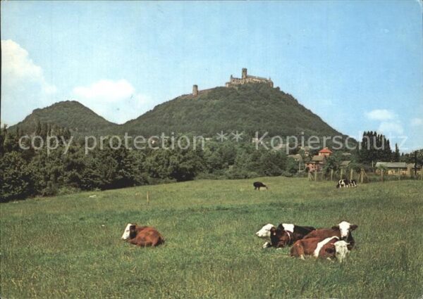 Bezdez Hrad Burg