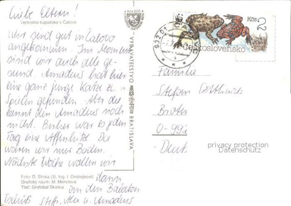 Calovo Freibad – Bild 2