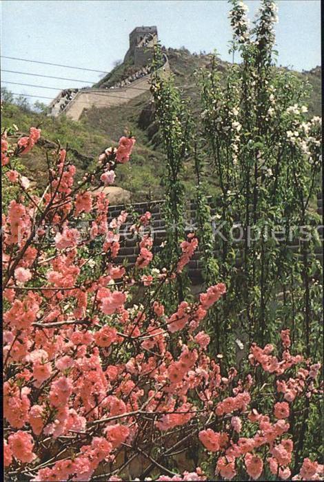 China Chinesische Mauer im Frühling