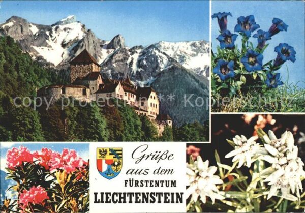 Liechtenstein  mit Schloss