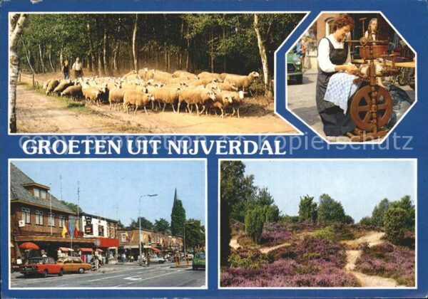 Nijverdal Schafe Strassenpartie Spinnerin