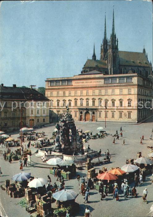 Brno Bruenn Parnas Brunnen mit Dom
