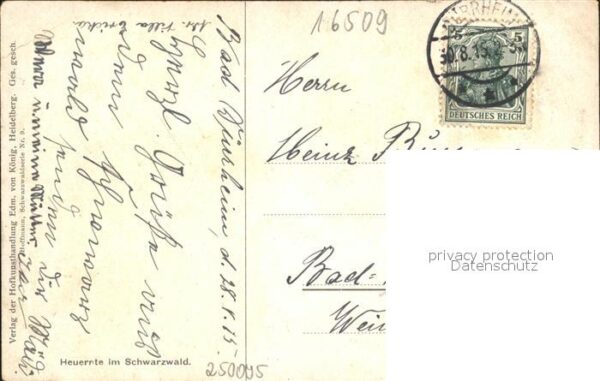 Hoffmann Heinrich Heuernte Schwarzwald – Bild 2