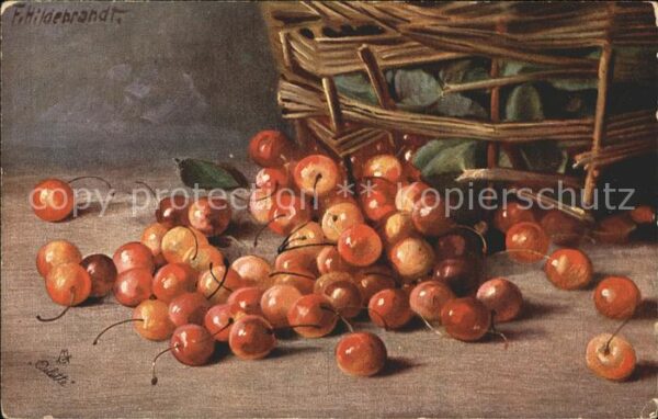 Verlag Tucks Oilette Nr. 524 F. Hildebrandt Kirschen