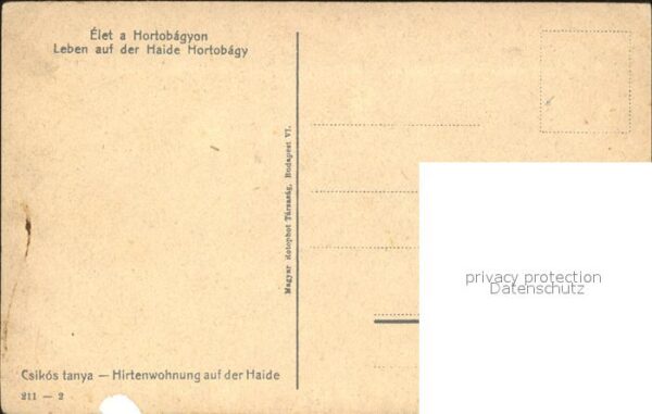 Bauernhaus Bauern Schweine Haide Hortobagy Hirtenw – Bild 2