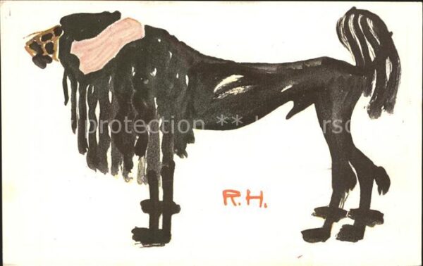 Hunde Künstlerkarte R. Hille Der adlige Pudel