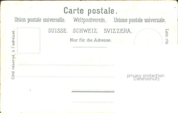 Kuehe Alpfahrt – Bild 2