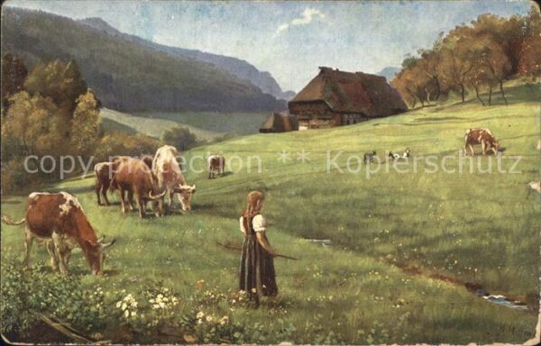 Hoffmann Heinrich Weidende Herde Schwarzwald