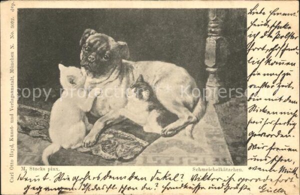 Hunde Katzen Künstlerkarte M. Stocks Schmeich