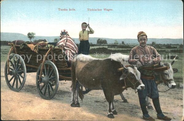 Kuehe Türkischer Wagen Typen Türkei