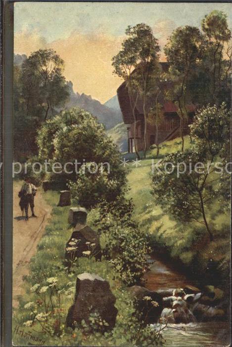 Hoffmann Heinrich Frühmorgens im Schwarzwald