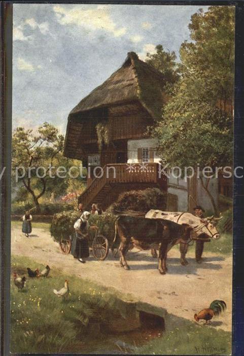 Hoffmann Heinrich Grünfutter-Einfuhr Schwarzwaldhaus Ochs
