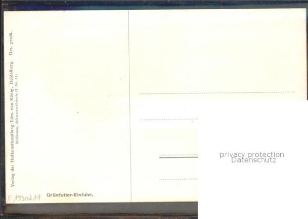 Hoffmann Heinrich Grünfutter-Einfuhr Schwarzwaldhaus Ochs – Bild 2