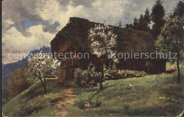 Hoffmann Heinrich Frühling im Schwarzwald Schwarzwaldhaus