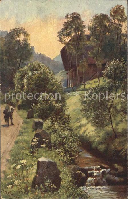 Hoffmann Heinrich Frühmorgens im Schwarzwald