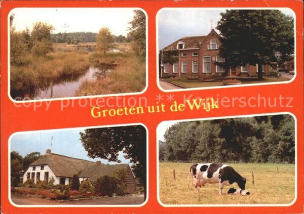 De Wijk Drenthe Kühe Ortsansichten