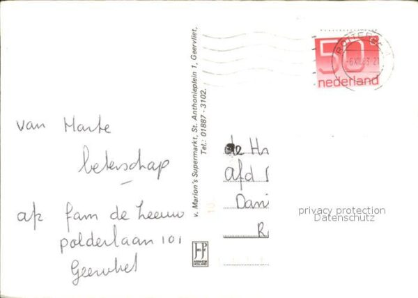 Geervliet Kühe Windmühle – Bild 2