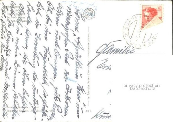 Sorrento Campania Pinien – Bild 2