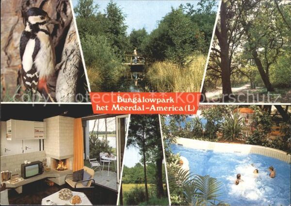 America Niederlande Bungalowpark Het Meerdal