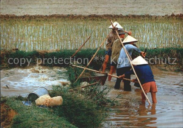Vietnam Irrigation