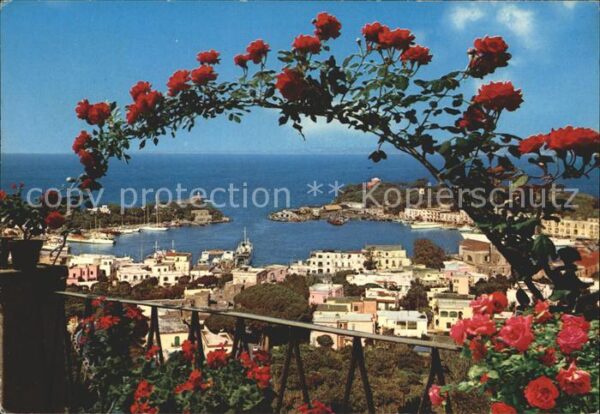 Ischia Der Hafen