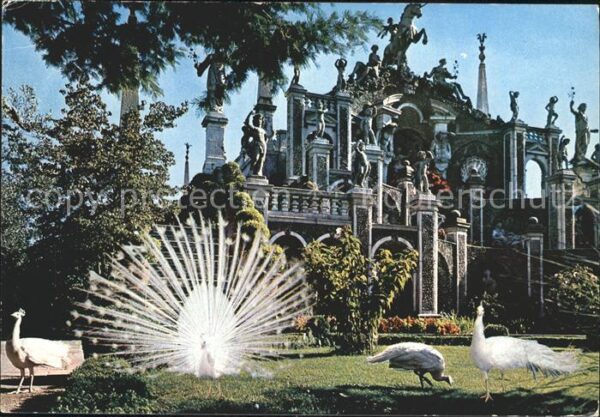 Isola Bella Lago Maggiore Der Garten vom Borromeo Palast