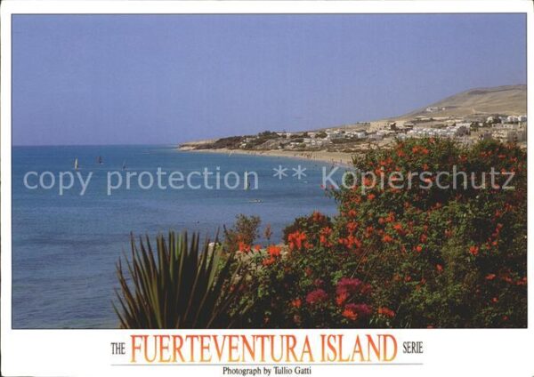 Fuerteventura Strandpanorama