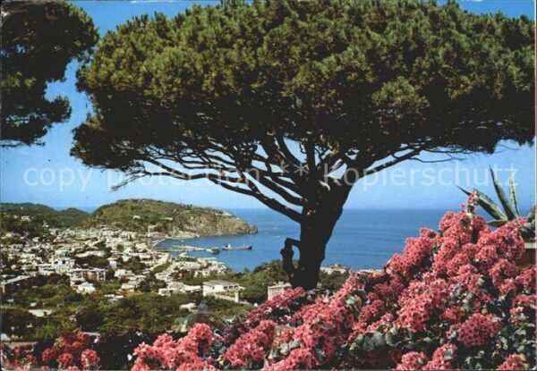 Lacco Ameno Isola d`Ischia