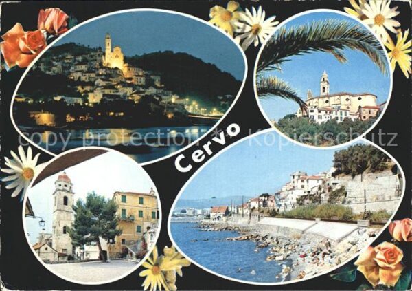 Cervo
