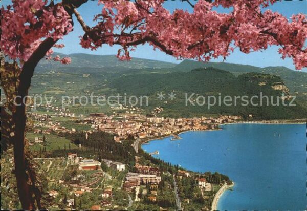 Garda Lago di Garda Panorama Gardasee Baumblüte