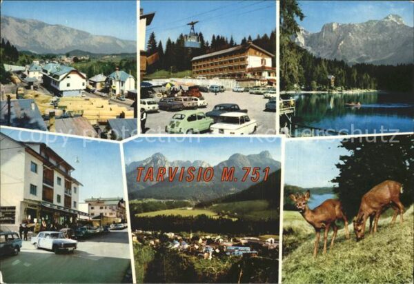 Tarvisio r
te

Teilansichten Bergbahn See Reh