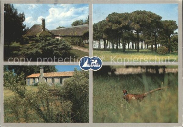Albarella Eindrücke von der Insel Natur Fasan
