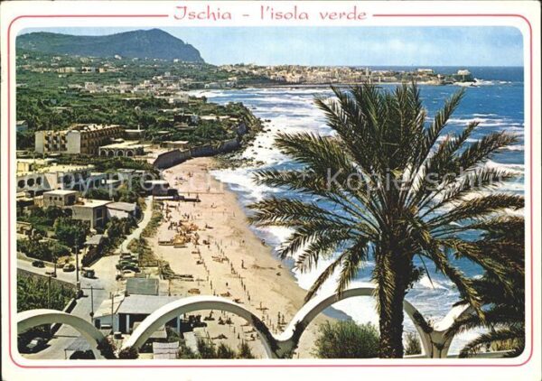 Isola d Ischia Spiaggia di San Francesce Strand Palmen