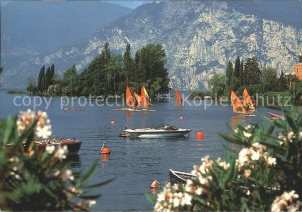 Malcesine Lago di Garda Uferpartie am Gardasee Windsurfen