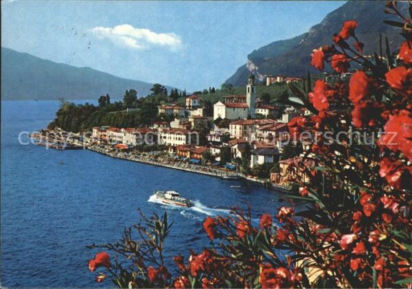 Limone sul Garda Panorama Gardasee