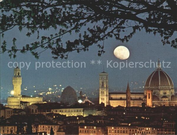 Firenze Florenz Panorama notturno Stadtbild im Mondsche