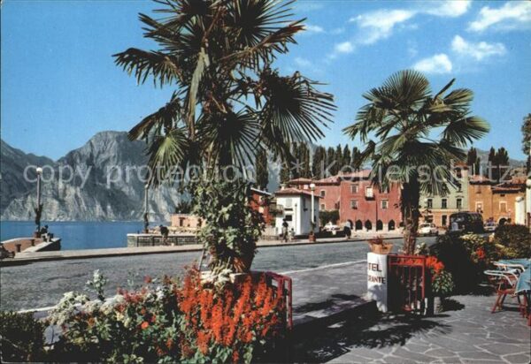 Torbole Lago di Garda Uferstrasse am Gardasee Palmen