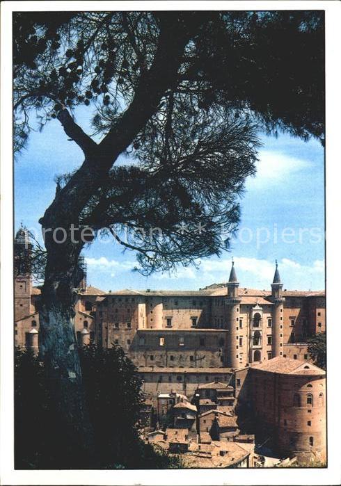 Urbino Scorcio del Palazzo Ducale con torricin