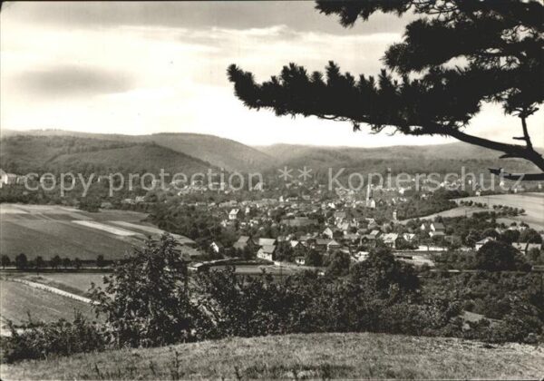 Bad Suderode Panorama Blick vom Bückeberg