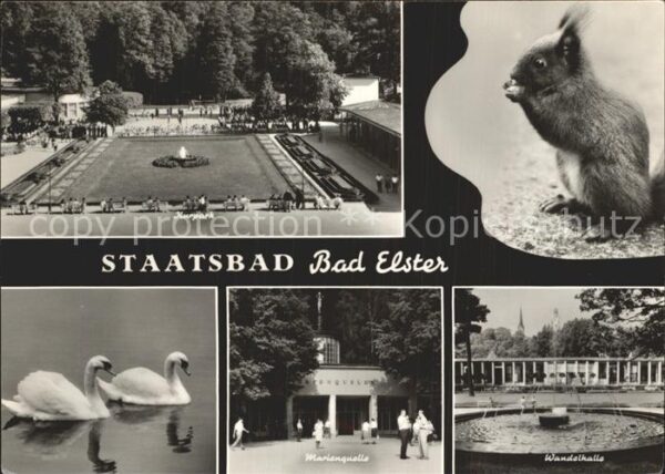 Bad Elster Kurpark Eichhörnchen Wandelhalle Marien