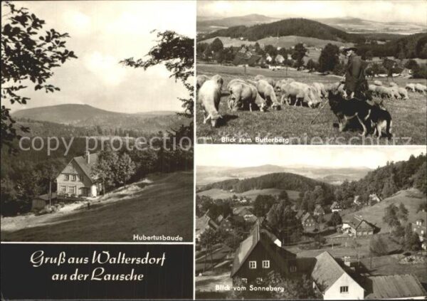 Waltersdorf Zittau Hubertusbaude Schafherde Schäfer Butter